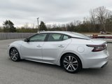 Used 2020 Nissan Maxima 3.5 SL w/ Floor Mat Group image 4
