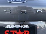 New 2025 Ford Escape Active w/ Active Premium Tech Pack image 5