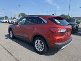 Used 2020 Ford Escape SE image 5