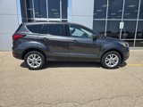 Used 2019 Ford Escape SE image 2