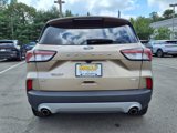 Certified 2020 Ford Escape SE image 6