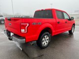 Used 2017 Ford F150 XLT image 5
