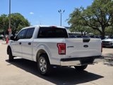 Used 2016 Ford F150 XLT image 3