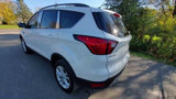 Used 2019 Ford Escape SEL image 3