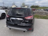 Used 2014 Ford Escape Titanium image 5