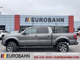 Used 2013 Ford F150 FX4 w/ Luxury Equipment Group image 2