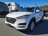 Used 2020 Hyundai Tucson Value image 4