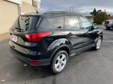 Used 2019 Ford Escape SEL image 6
