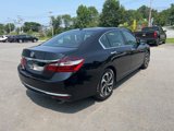 Used 2016 Honda Accord EX-L image 4