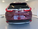 Used 2019 Honda CR-V EX-L image 6