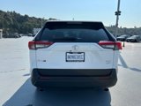 Certified 2021 Toyota RAV4 XLE image 5