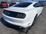 Used 2019 Ford Mustang Premium image 4