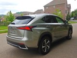 Used 2019 Lexus NX 300h AWD w/ Premium Package image 4