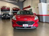 Used 2020 Ford Escape SE image 5