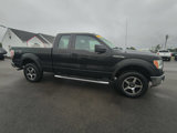 Used 2014 Ford F150 STX w/ Equipment Group 201A Mid image 5