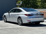 Used 2019 Lexus ES 350 w/ Premium Package image 3