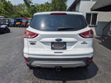 Used 2015 Ford Escape SE w/ Equipment Group 201A image 4