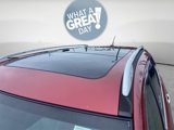 Used 2016 Nissan Rogue SL w/ SL Premium Package image 4