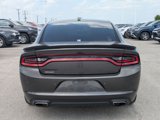 Used 2020 Dodge Charger SXT w/ Blacktop Package image 4