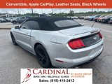 Used 2018 Ford Mustang Premium image 3