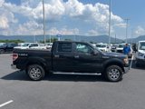 Used 2012 Ford F150 XLT w/ XLT Chrome Pkg image 4