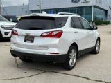 Used 2019 Chevrolet Equinox Premier image 3