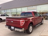 Used 2014 Ford F150 Lariat w/ Equipment Group 502A Luxury image 3