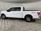 Used 2015 Ford F150 XLT w/ Equipment Group 302A Luxury image 5