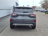 Used 2022 Ford Escape SE w/ Convenience Package image 5