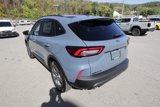 New 2025 Ford Escape ST-Line image 5