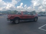 Used 2014 Ford F150 XLT w/ Equipment Group 302A Luxury image 6