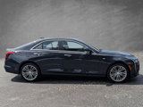 New 2024 Cadillac CT4 Premium Luxury w/ Technology Package image 3