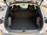 New 2025 Ford Escape Active w/ Tech Pack #1 image 6