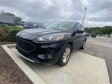 Used 2020 Ford Escape SE image 3