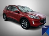 Certified 2022 Ford Escape SEL w/ Technology Package image 3