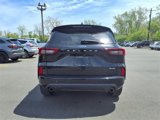 Used 2023 Ford Escape ST-Line w/ Tech Pack #1 image 6