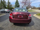 Used 2010 Honda Accord LX-P image 6