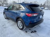 Used 2022 Ford Escape SE w/ Convenience Package image 6