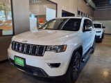 Used 2019 Jeep Grand Cherokee Limited w/ Mopar Chrome Edition Group image 3