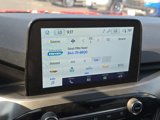 Used 2024 Ford Escape Active w/ Cold Weather Package image 4