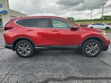Used 2020 Honda CR-V EX image 4