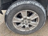 Used 2016 Ford F150 XLT w/ Equipment Group 302A Luxury image 2