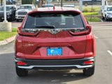 Certified 2020 Honda CR-V EX image 6