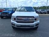 Used 2019 Ford F150 XLT w/ Equipment Group 301A Mid image 2
