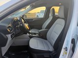 New 2025 Ford Escape Active w/ Cold Weather Package image 4