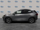 Used 2024 Ford Escape ST-Line w/ Tech Pack #1 image 2
