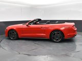 Used 2022 Ford Mustang Premium image 4