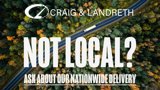 Used 2013 Dodge Dart SXT image 3