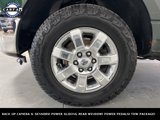 Used 2013 Ford F150 XLT w/ Luxury Equipment Group image 4
