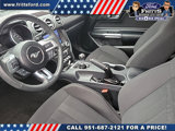 Certified 2021 Ford Mustang Coupe w/ Equipment Group 101A image 4